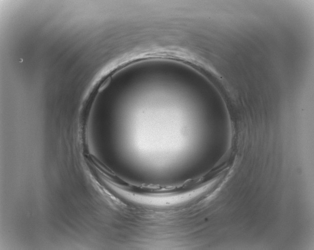 X0000066531506200603201346