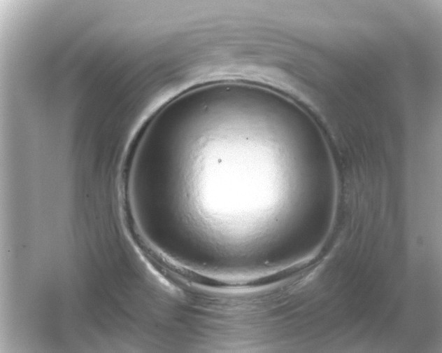 X0000066531517200603201346