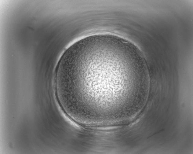X0000066531526200603201346