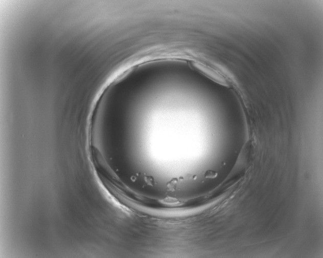 X0000066531528200603201346