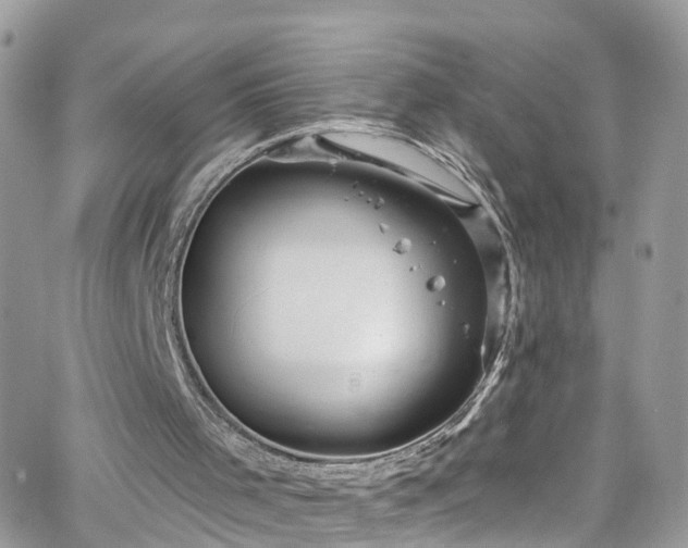 X0000066530001200603241413