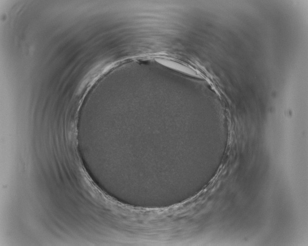 X0000066530002200603241413