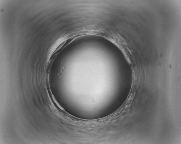 X0000066530003200603241413