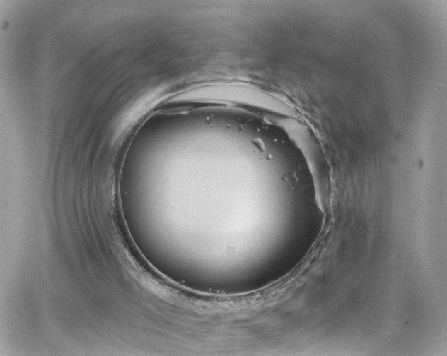 X0000066530005200603241413