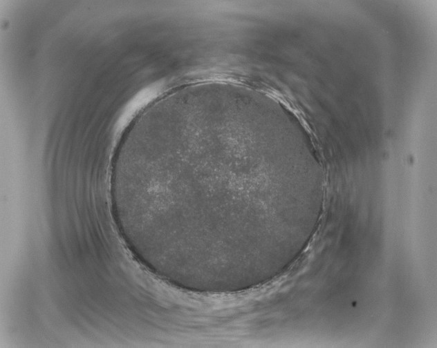 X0000066530006200603241413