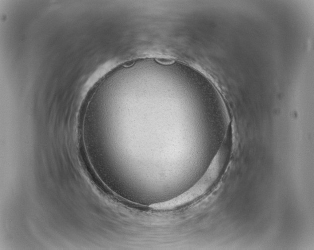 X0000066530008200603241413