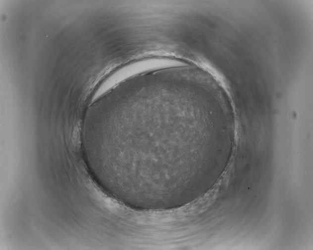 X0000066530009200603241413