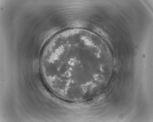 X0000066530012200603241413