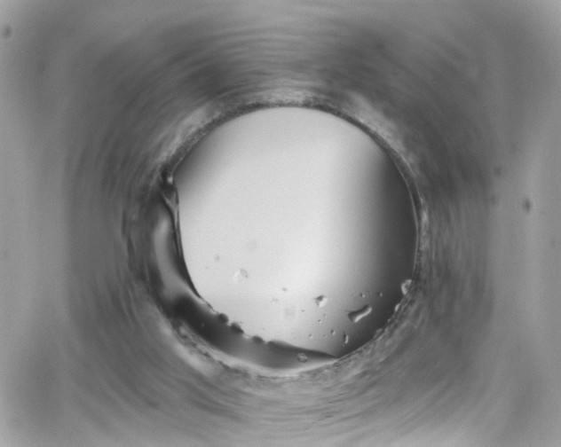 X0000066530013200603241413