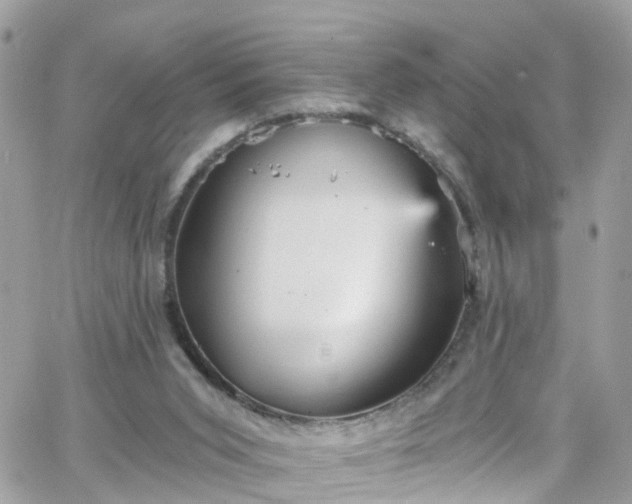 X0000066530015200603241413