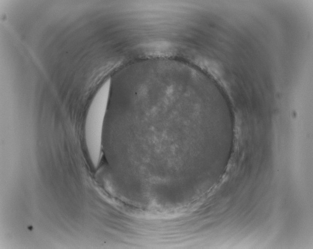 X0000066530017200603241413