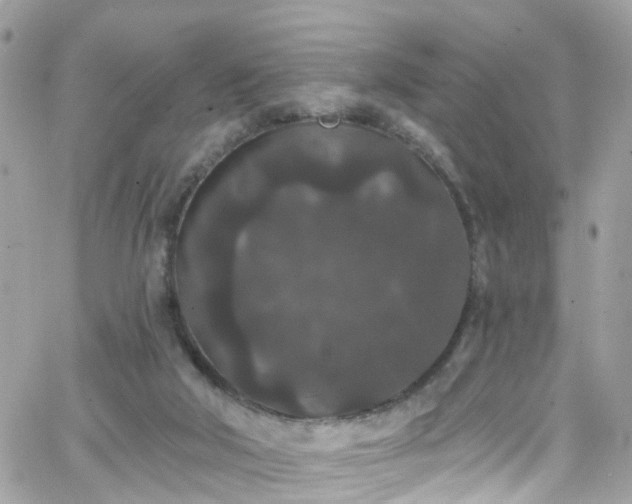 X0000066530018200603241413