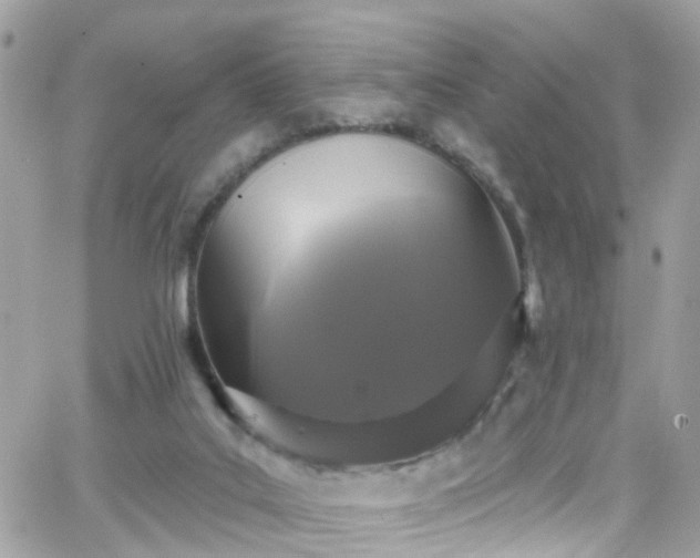 X0000066530019200603241413