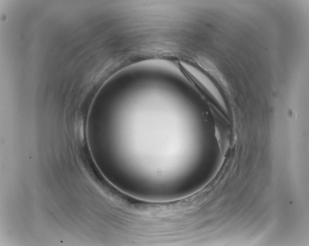 X0000066530021200603241413