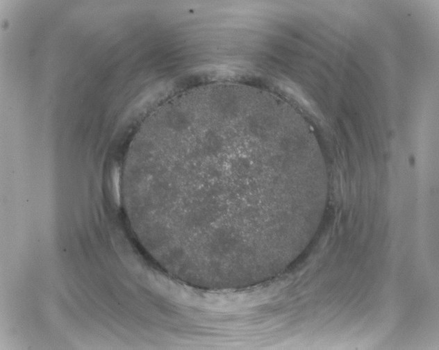 X0000066530022200603241413