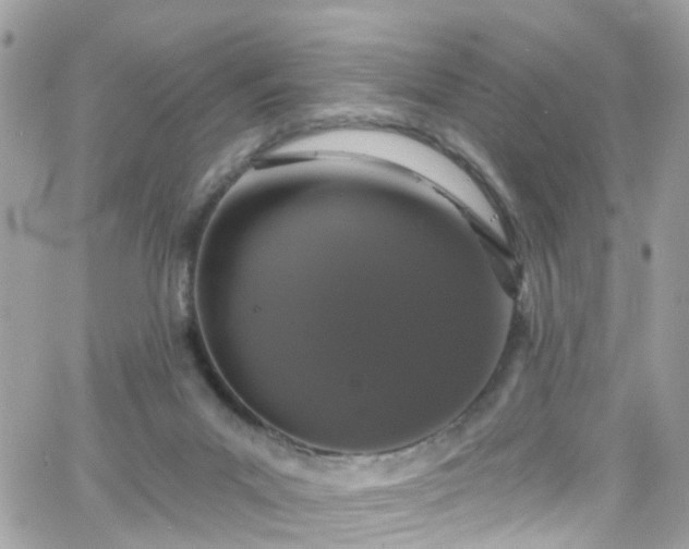 X0000066530023200603241413