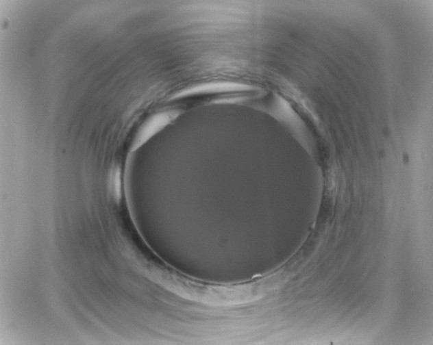 X0000066530027200603241413