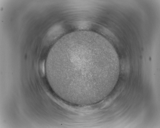 X0000066530028200603241413