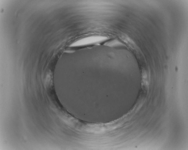 X0000066530029200603241413