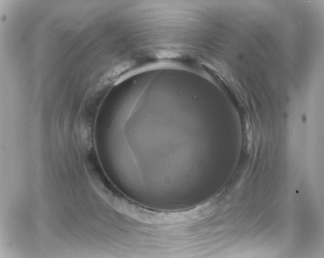 X0000066530031200603241413