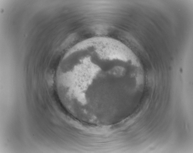 X0000066530032200603241413