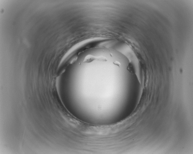 X0000066530033200603241413