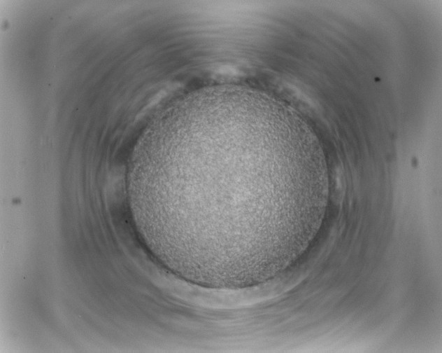 X0000066530034200603241413