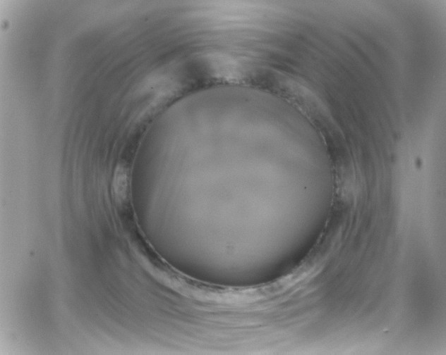 X0000066530036200603241413