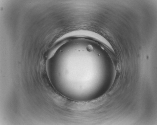 X0000066530037200603241413