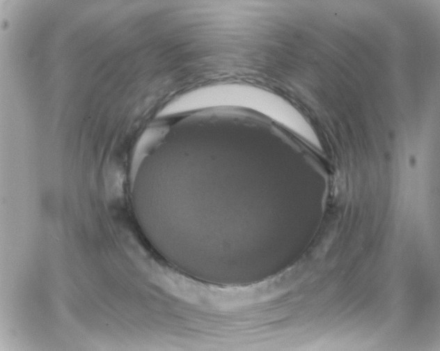 X0000066530039200603241413