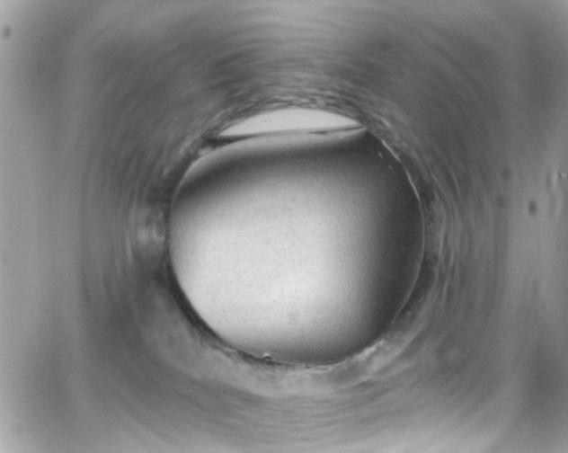 X0000066530040200603241413