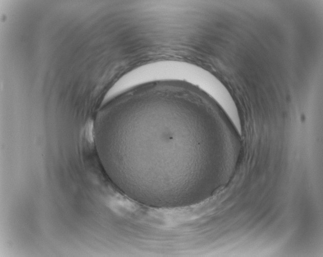 X0000066530041200603241413