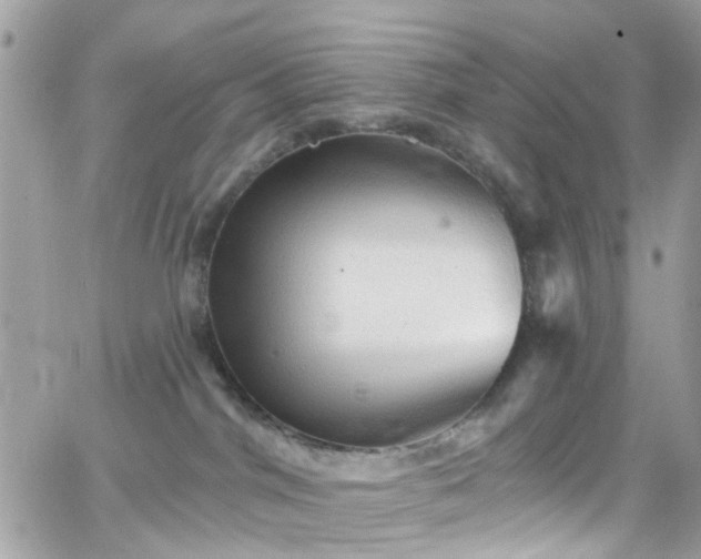 X0000066530044200603241413