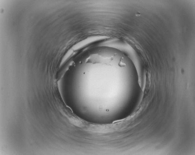 X0000066530045200603241413