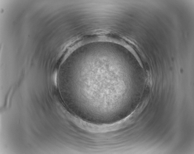 X0000066530047200603241412