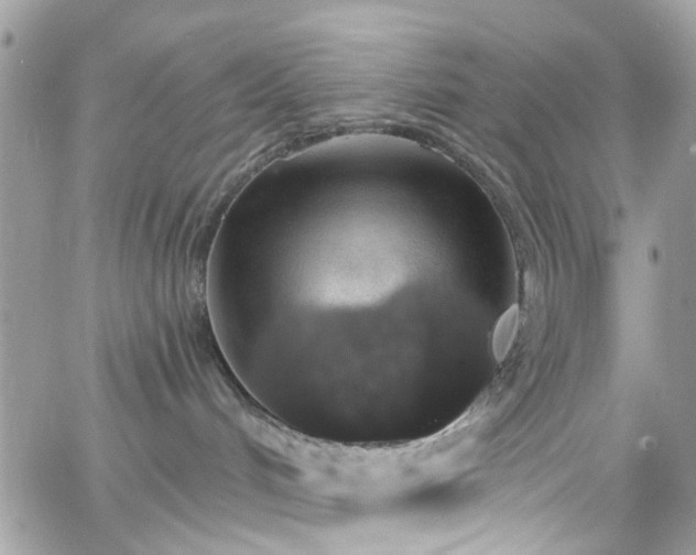 X0000066530048200603241412