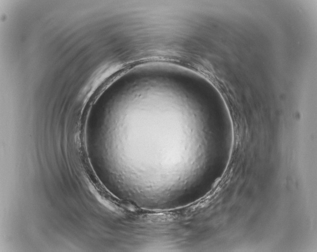 X0000066530050200603241412