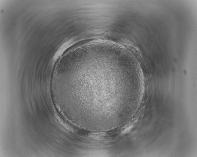 X0000066530051200603241412