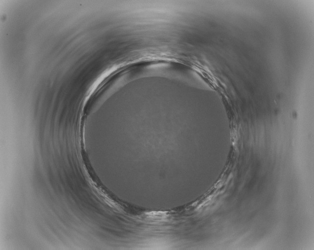 X0000066530052200603241412