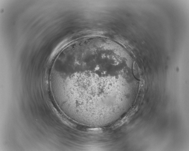 X0000066530053200603241412