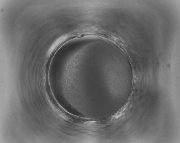 X0000066530054200603241412