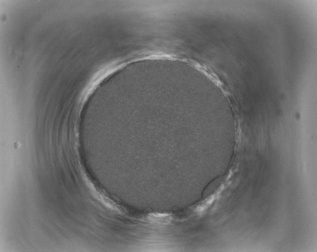 X0000066530055200603241412