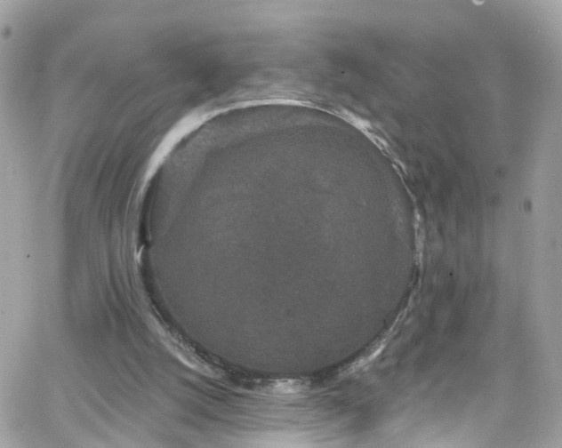 X0000066530056200603241412