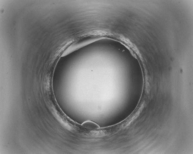 X0000066530057200603241412