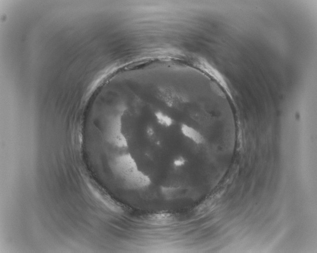 X0000066530059200603241412