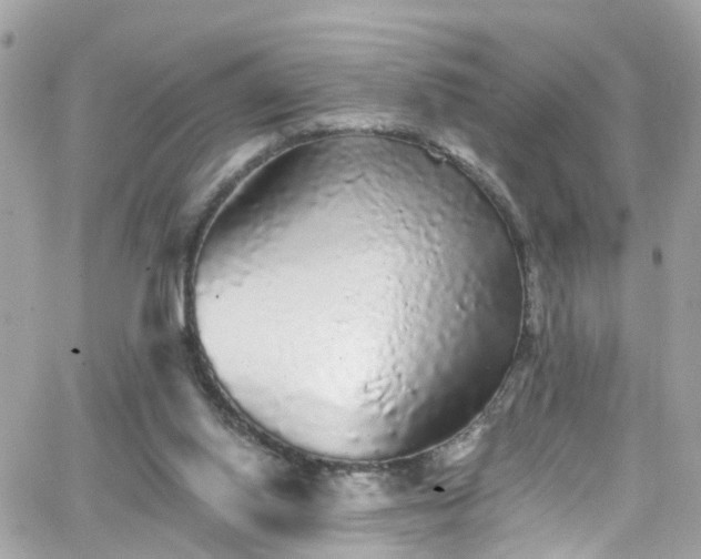 X0000066530062200603241412