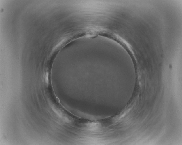 X0000066530067200603241412