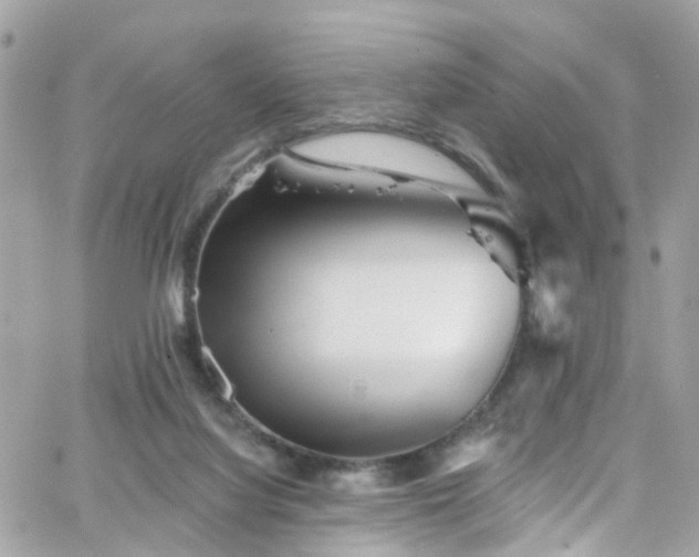 X0000066530068200603241412