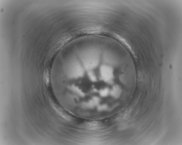 X0000066530069200603241412