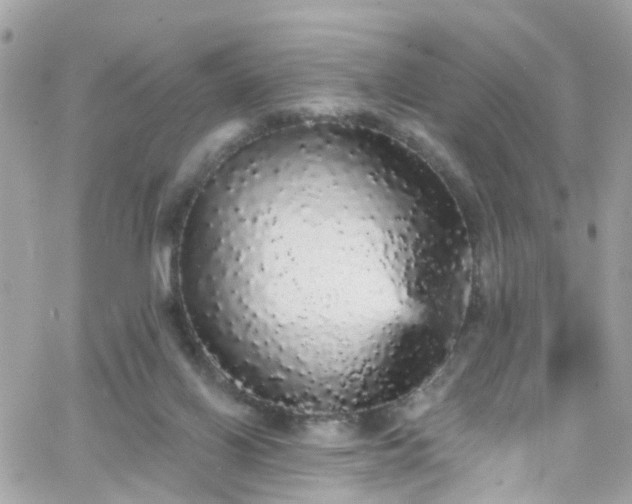 X0000066530070200603241412